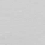 Кедр снежный